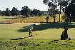 golfmini